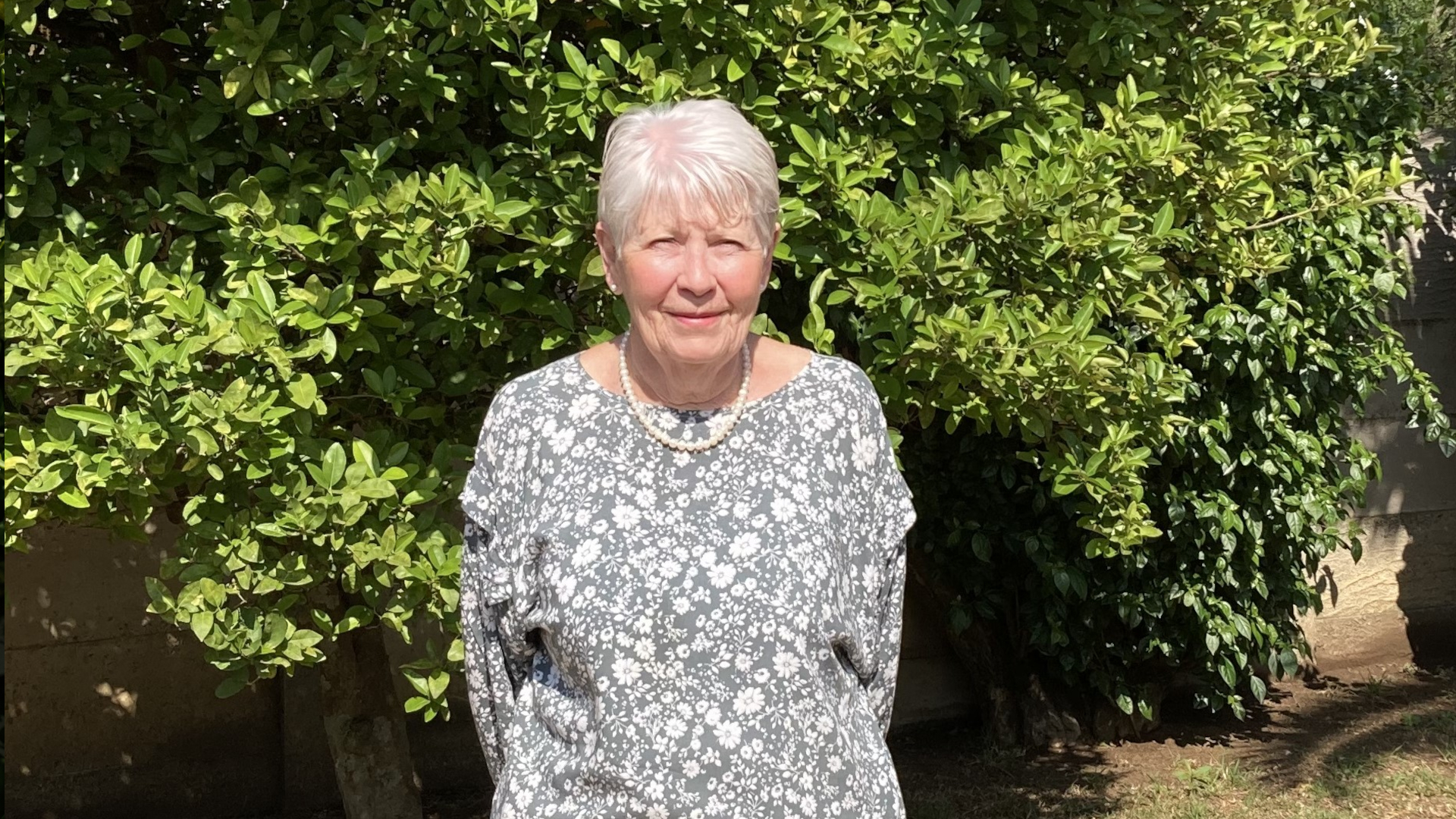 Celebrating Colleen Whitehead's retirement