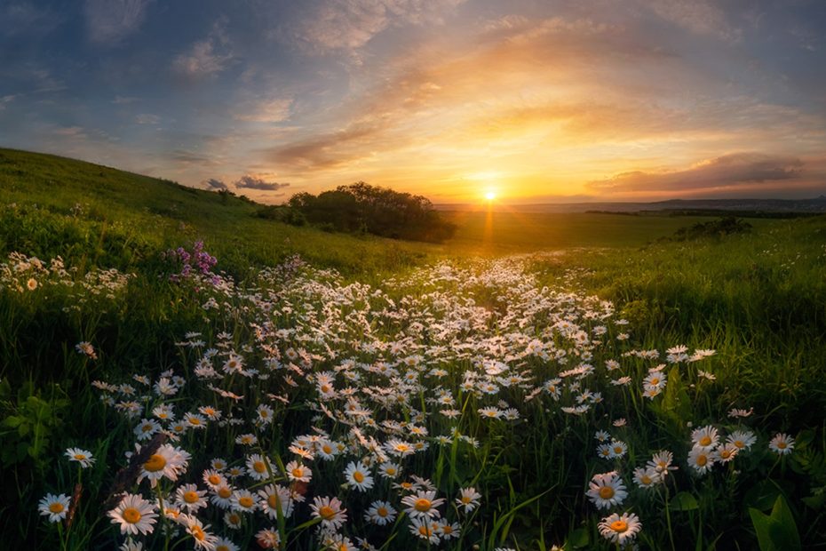 What happens when I die