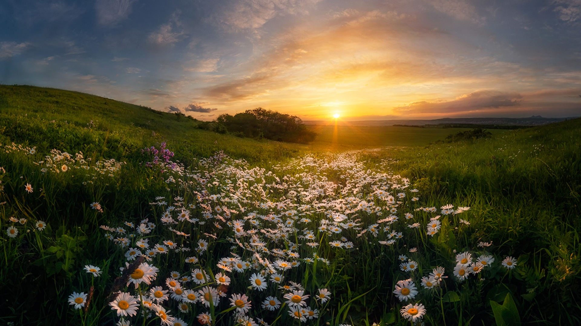 What happens when I die